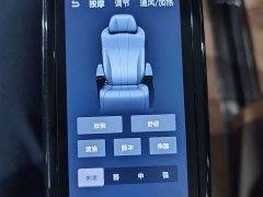 Denza D9 2022 DM-i 970 AWD Flagship - ფოტო 16