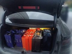 BYD Han DM-p War God Edition - ფოტო 20