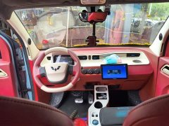 BMW Hongguang MINIEV Delightful Edition LFP - ფოტო 10