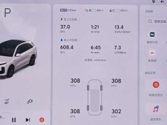 Li Auto L6 Pro - ფოტო 12