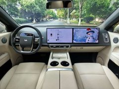 Li Auto L6 Pro - ფოტო 8