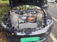 Tesla Model 3 Long Range All-Wheel Drive - ფოტო 16