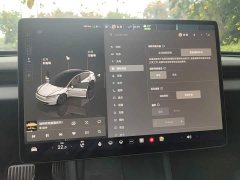Tesla Model 3 Long Range All-Wheel Drive - ფოტო 20