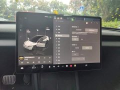Tesla Model 3 Long Range All-Wheel Drive - ფოტო 7