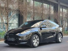 Tesla Model Y Rear-Wheel Drive - ფოტო 1