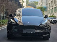 Tesla Model Y Rear-Wheel Drive - ფოტო 2