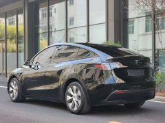 Tesla Model Y Rear-Wheel Drive - ფოტო 4