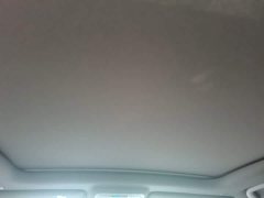BYD Song Plus New Energy DM-i 112KM Luxury Edition - ფოტო 14