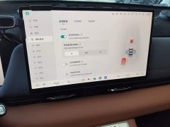 Haval Xiaolong MAX Hi4 110 Pro - ფოტო 20