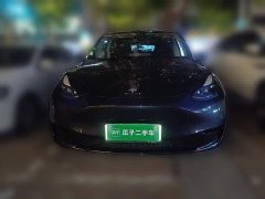 Tesla Model Y Rear-Wheel Drive - ფოტო 2