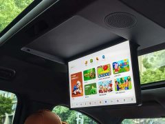 Li Auto L9 2022 Max - ფოტო 10