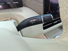 Great Wall WEY Shanshan New Energy Four-Wheel Drive Shanshan 8 - ფოტო 10