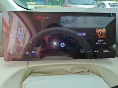 Great Wall WEY Shanshan New Energy Four-Wheel Drive Shanshan 8 - ფოტო 7