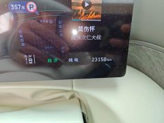 Great Wall WEY Shanshan New Energy Four-Wheel Drive Shanshan 8 - ფოტო 8