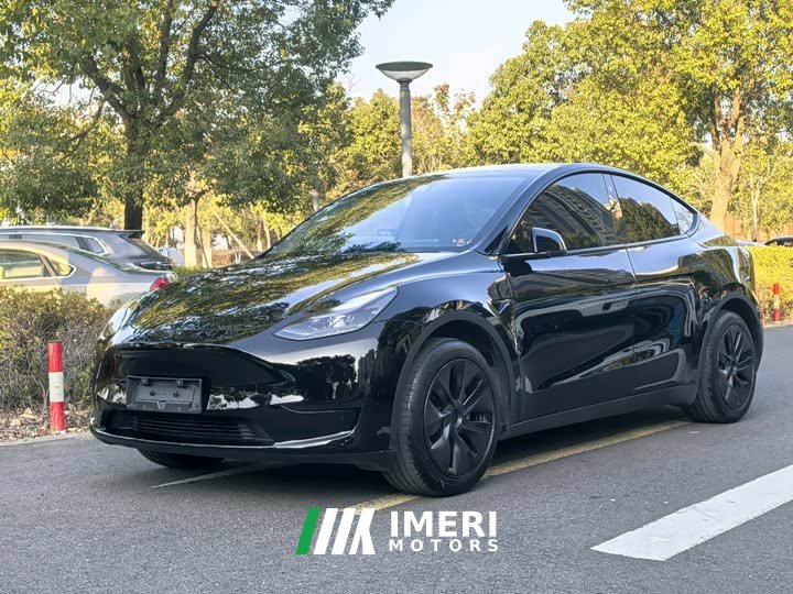Tesla Model Y Rear-Wheel Drive - ავტომობილი ჩინეთიდან
