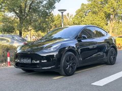 Tesla Model Y Rear-Wheel Drive - ფოტო 1