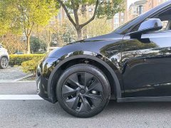 Tesla Model Y Rear-Wheel Drive - ფოტო 14
