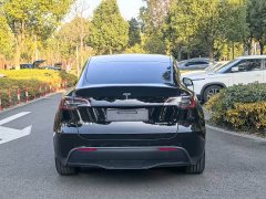 Tesla Model Y Rear-Wheel Drive - ფოტო 18