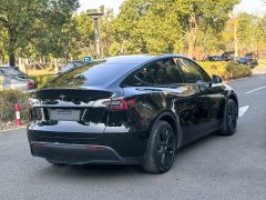 Tesla Model Y Rear-Wheel Drive - ფოტო 19