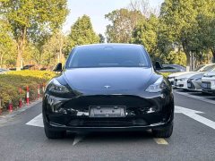 Tesla Model Y Rear-Wheel Drive - ფოტო 2
