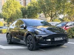 Tesla Model Y Rear-Wheel Drive - ფოტო 3