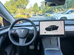 Tesla Model Y Rear-Wheel Drive - ფოტო 7