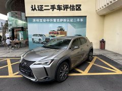 Lexus UX New Energy 2020 300e Pure Joy Edition - ფოტო 1