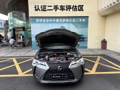 Lexus UX New Energy 2020 300e Pure Joy Edition - ფოტო 5