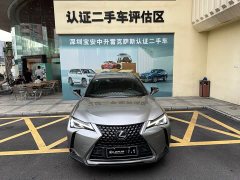 Lexus UX New Energy 2020 300e Pure Joy Edition - ფოტო 6