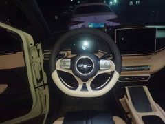 BYD Seagull Freedom Edition - ფოტო 11
