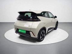 BYD Seagull Freedom Edition - ფოტო 6