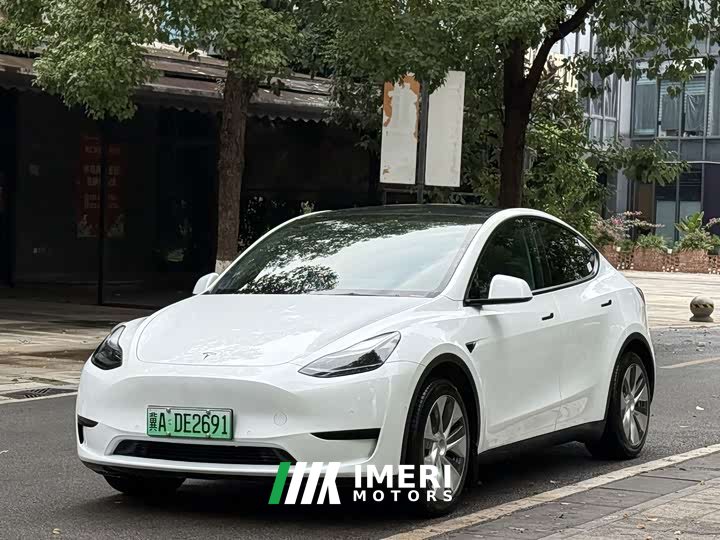 Tesla Model Y Facelift Rear-Wheel Drive - ავტომობილი ჩინეთიდან