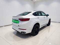 Geely Xingyue 2020 High-Performance Edition 350T Star Master - ფოტო 6