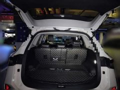 Wuling Xingchen 2022 2.0L DHT Electric Power Edition - ფოტო 15
