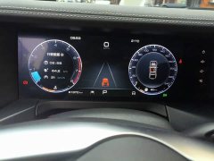 Tank 300 2023 Off-Road Edition 2.0T Challenger - ფოტო 13