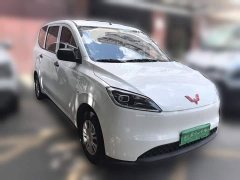 Wuling Hongguang New Energy 2024 Pure Electric 300KM Standard - ფოტო 3