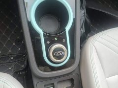 Chery Ant Facelift 150,000 Ant Fans Edition New Ant Cool Version LFP Battery - ფოტო 15