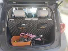 Chery Ant Facelift 150,000 Ant Fans Edition New Ant Cool Version LFP Battery - ფოტო 20