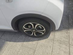 Chery Ant Facelift 150,000 Ant Fans Edition New Ant Cool Version LFP Battery - ფოტო 8