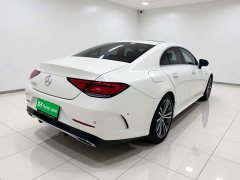 Mercedes-Benz CLS 300 AMG Dynamic - ფოტო 6
