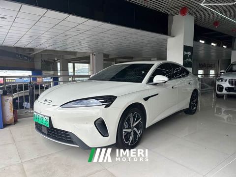 2026 BYD Dolphin 07 DM-i 1.5T 230km Premium Edition