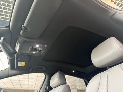 BYD Dolphin 07 DM-i 1.5T 230km Premium Edition - ფოტო 20