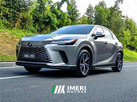 2025 Lexus RX 300 AWD Premium Edition - car from China
