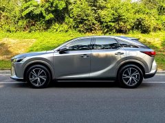 Lexus RX 300 AWD Premium Edition - ფოტო 4
