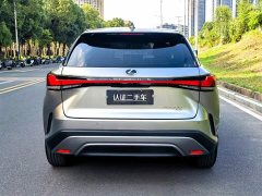 Lexus RX 300 AWD Premium Edition - ფოტო 6
