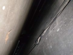 Tesla Model 3 2022 Rear-Wheel Drive - ფოტო 18