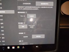 Tesla Model 3 2022 Rear-Wheel Drive - ფოტო 20