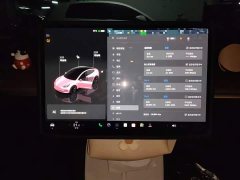 Tesla Model 3 2022 Rear-Wheel Drive - ფოტო 9