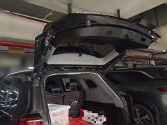 Chery Tiggo 8 PLUS 290TGDI DCT Passion Edition - ფოტო 15