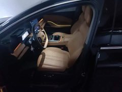 Geely Galaxy Xingyao 8 130km EM-P Explorer Edition - ფოტო 12